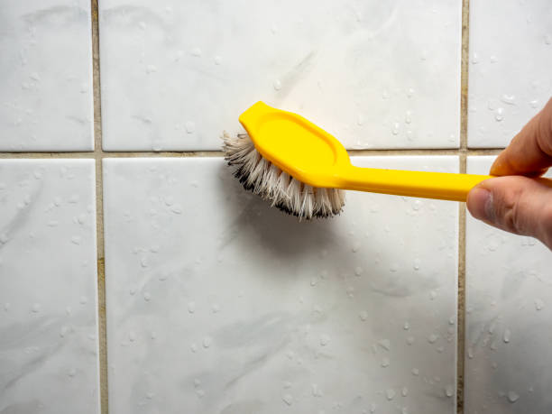 Best Certified Mold Removal  in Mked Tree, AR